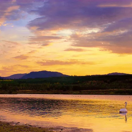 Dammschenke & מלון 3*